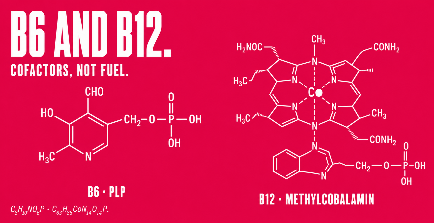 B6 and B12: What They Do, Why More Isn't Better