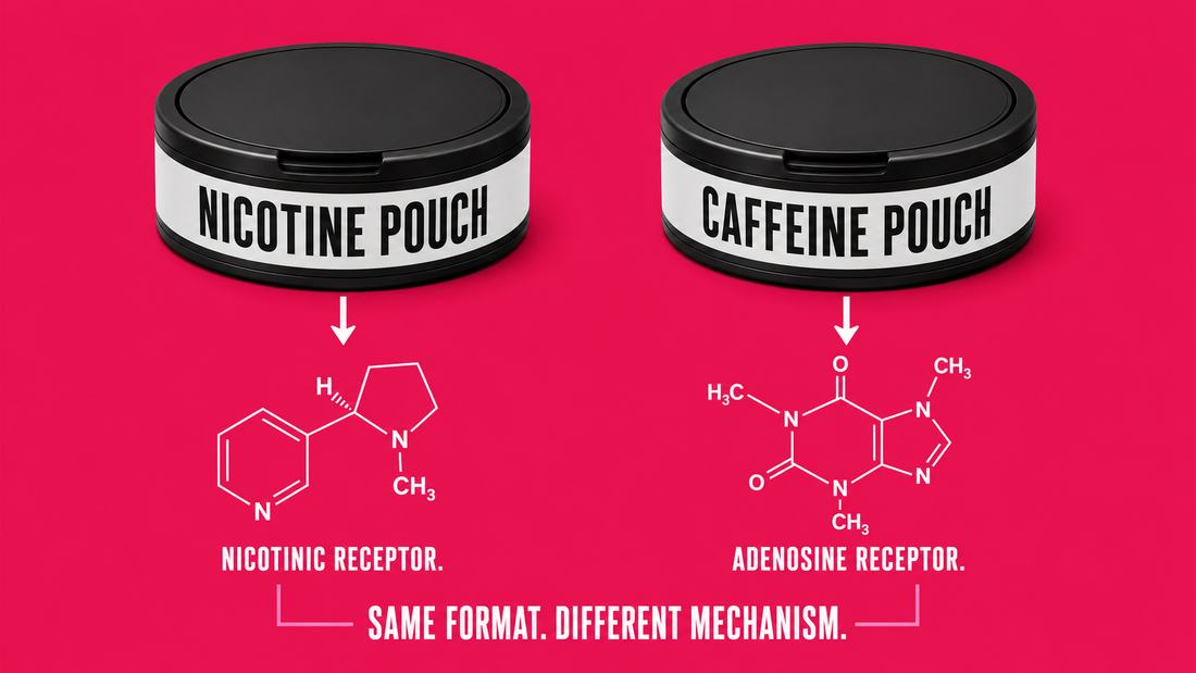 Caffeine Pouches vs. Nicotine Pouches: The Complete Breakdown