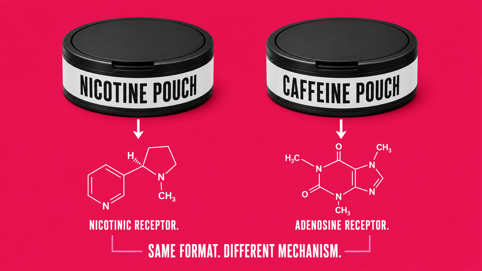 Caffeine Pouches vs. Nicotine Pouches: The Complete Breakdown
