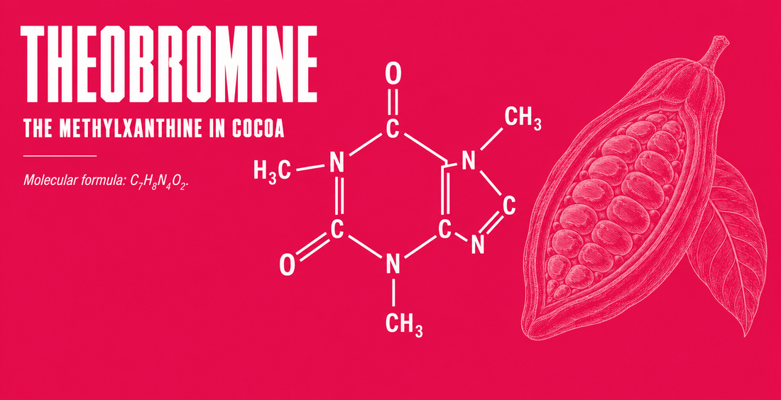 Theobromine: The Other Methylxanthine in Cocoa