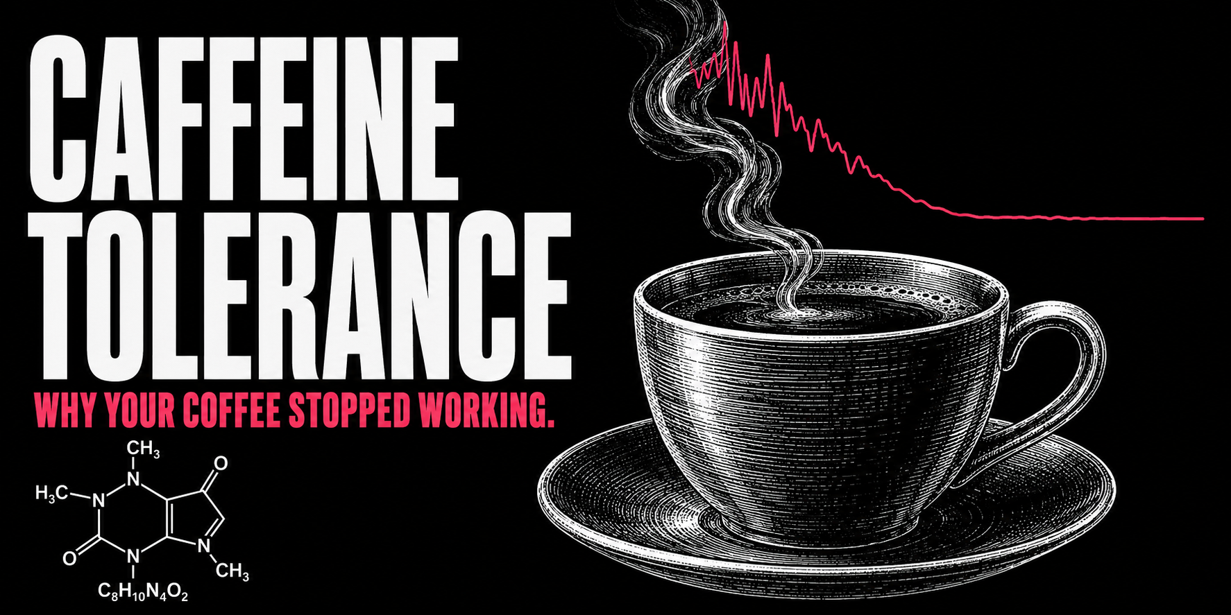 Why Your Coffee Stopped Working: Caffeine Tolerance Explained